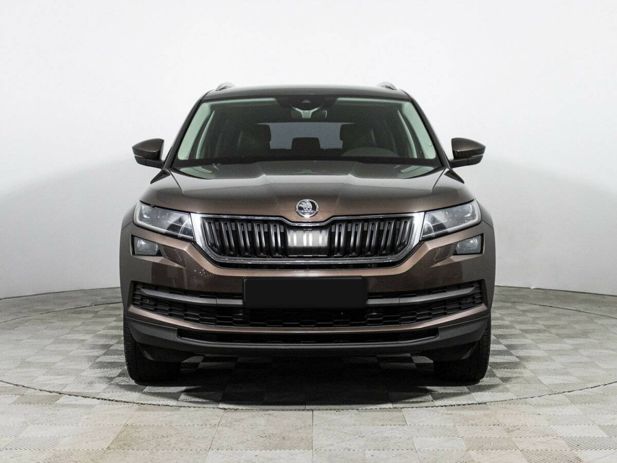 Skoda Kodiaq I, 2019 - фото №2